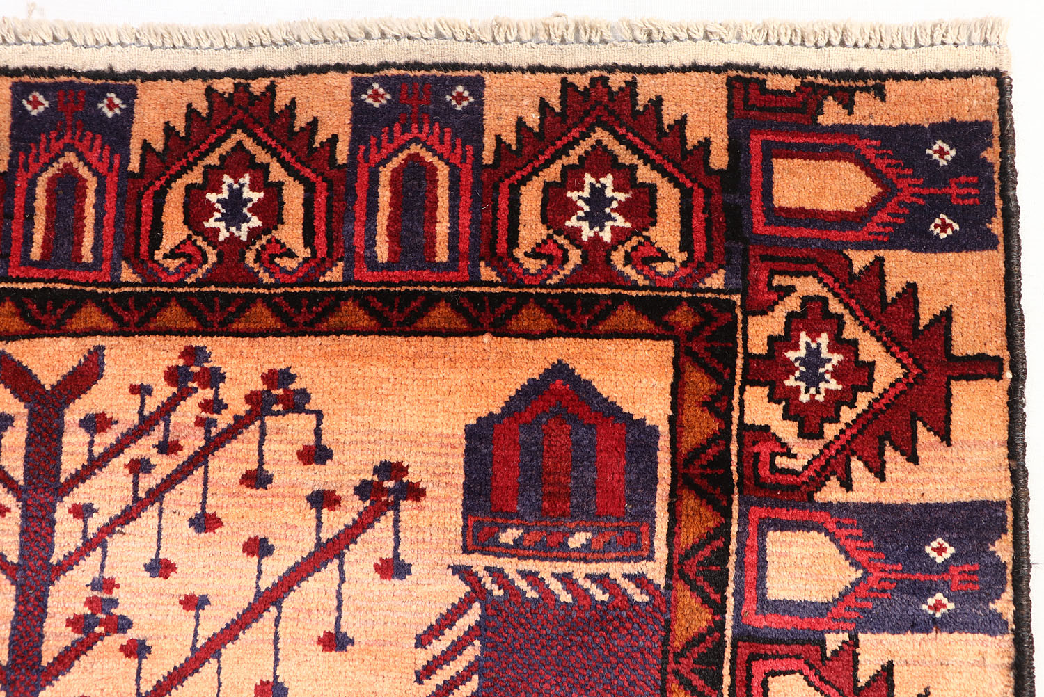 ADRASKAN BALUCHI