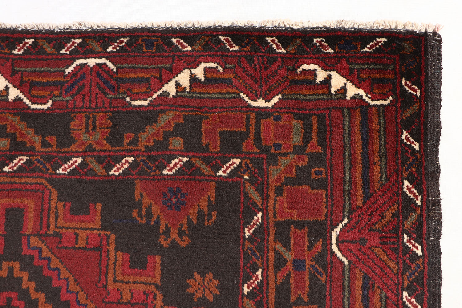ADRASKAN BALUCHI