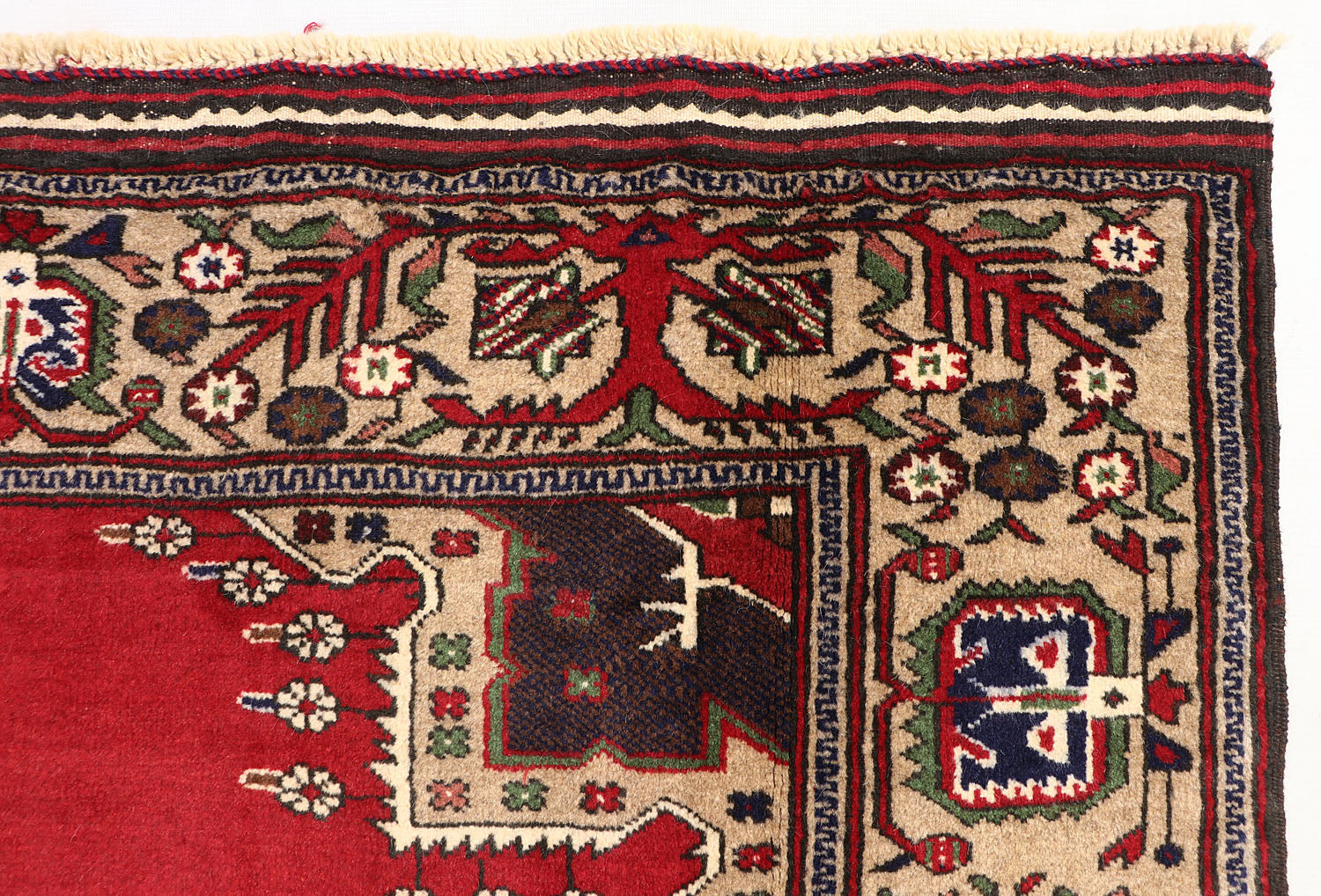 ADRASKAN BALUCHI