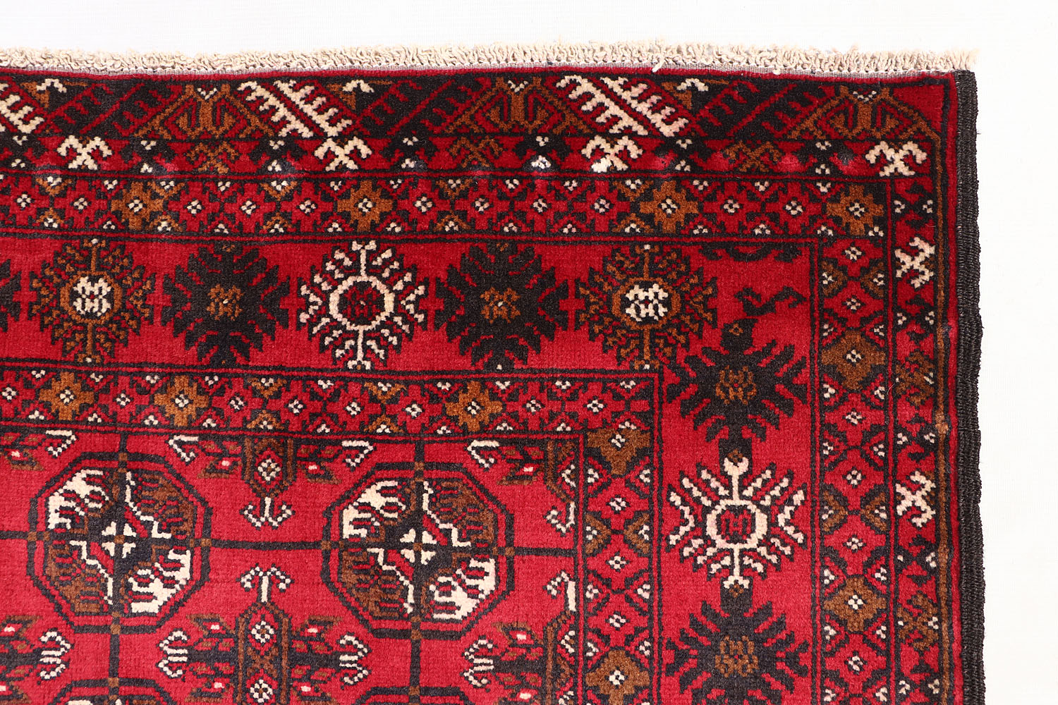 MORI BUKHARA