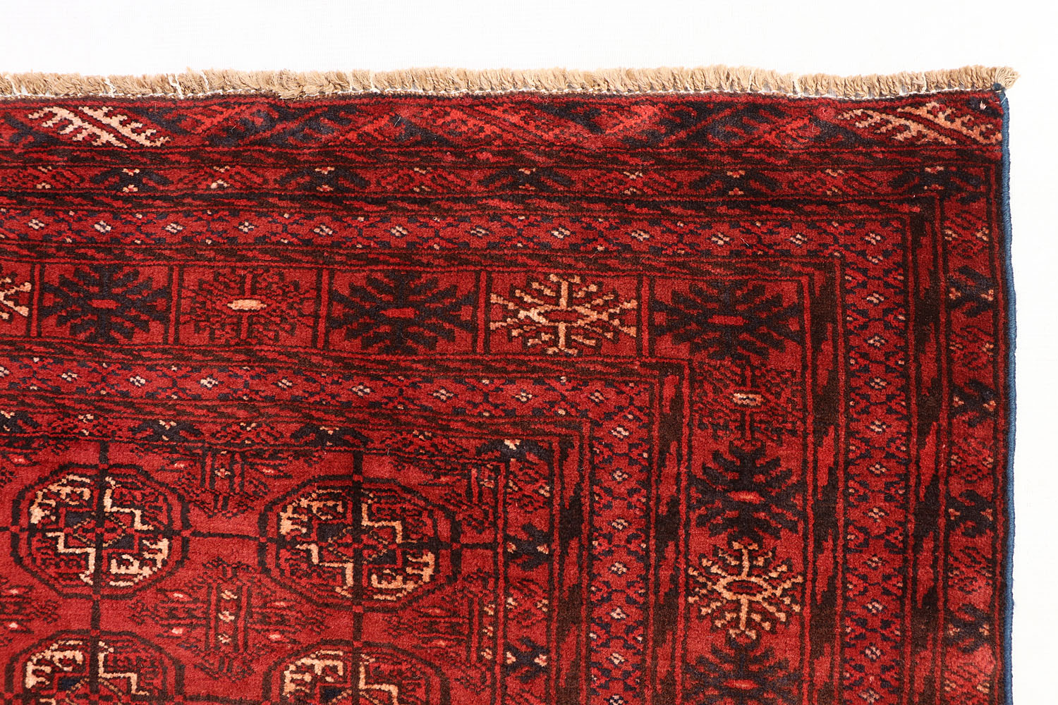MORI BUKHARA