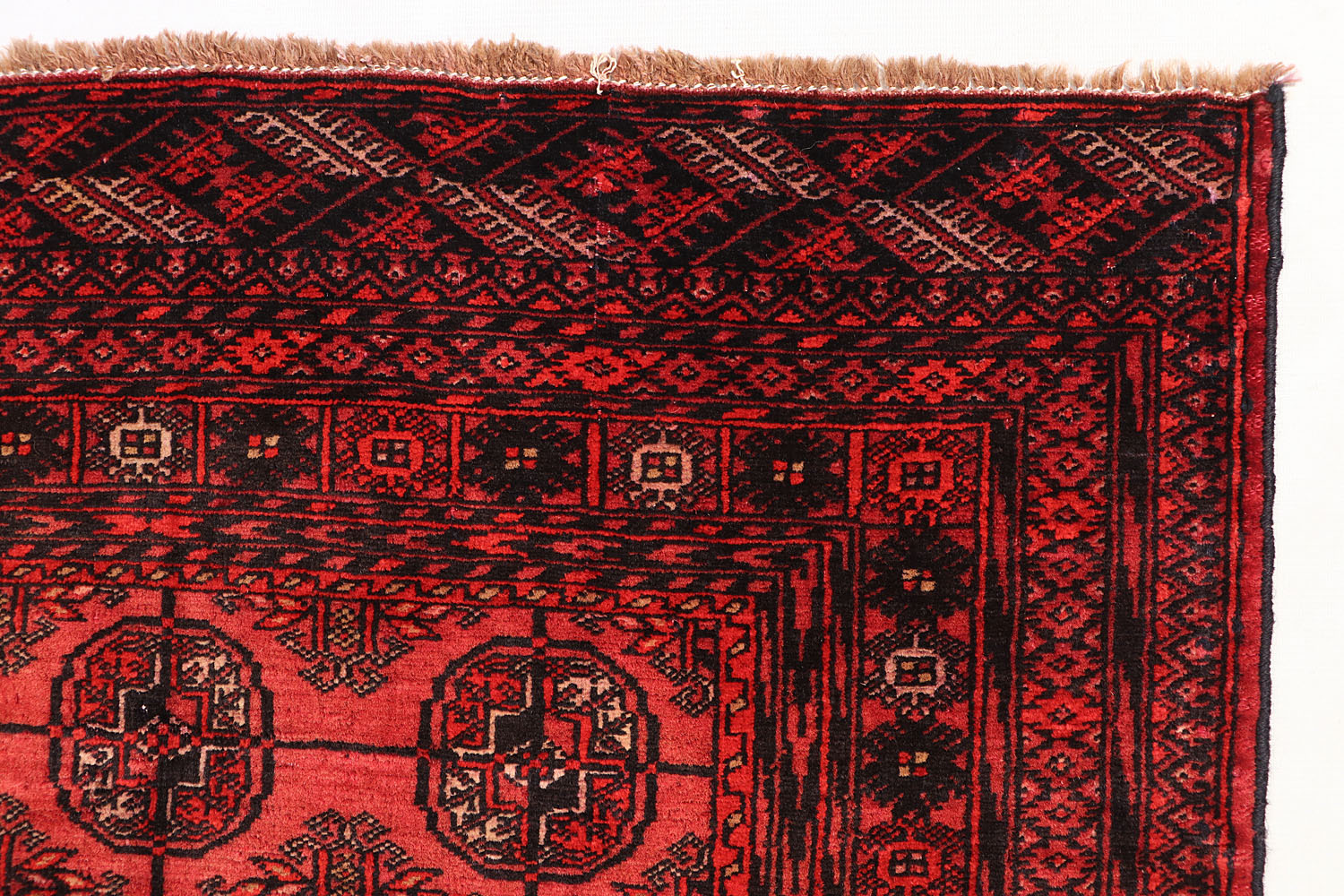 MORI BUKHARA