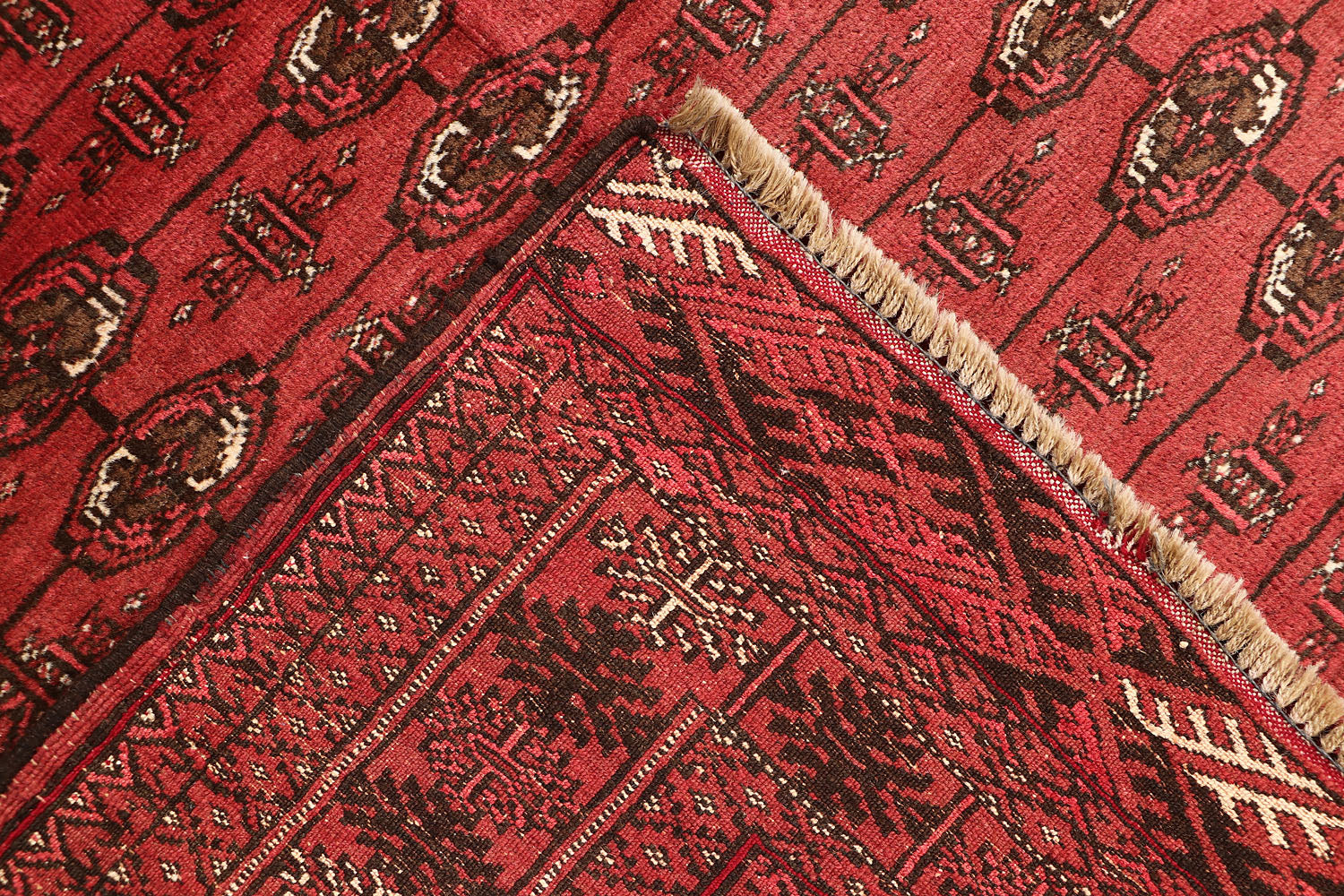 MORI BUKHARA