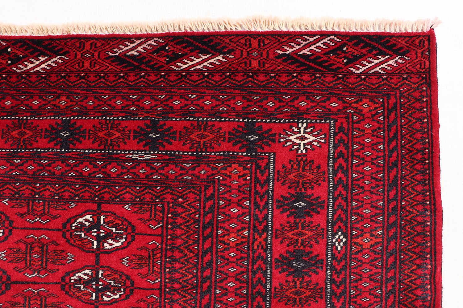 MORI BUKHARA
