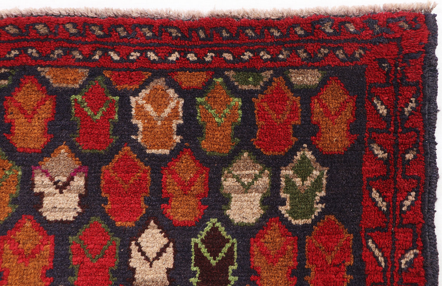 KOHISTANI BALUCHI