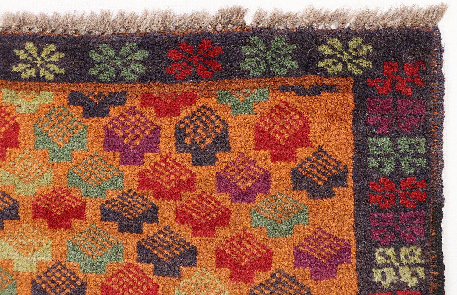 KOHISTANI BALUCHI