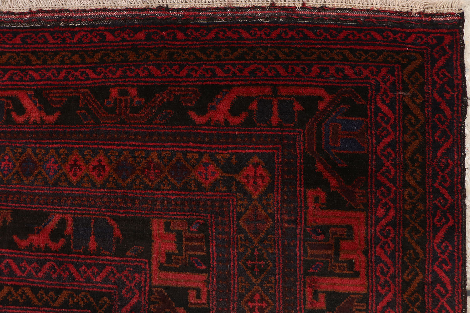 ADRASKAN BALUCHI