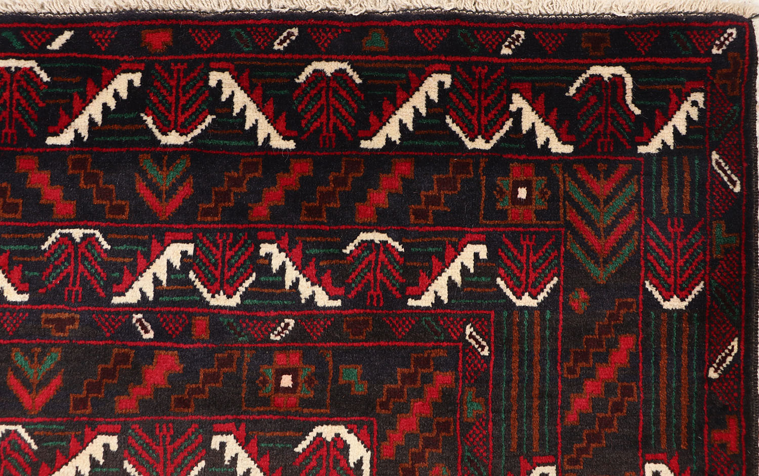 ADRASKAN BALUCHI