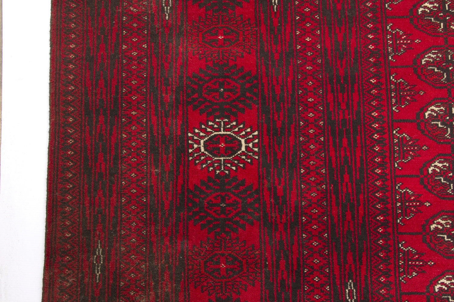 MORI BUKHARA