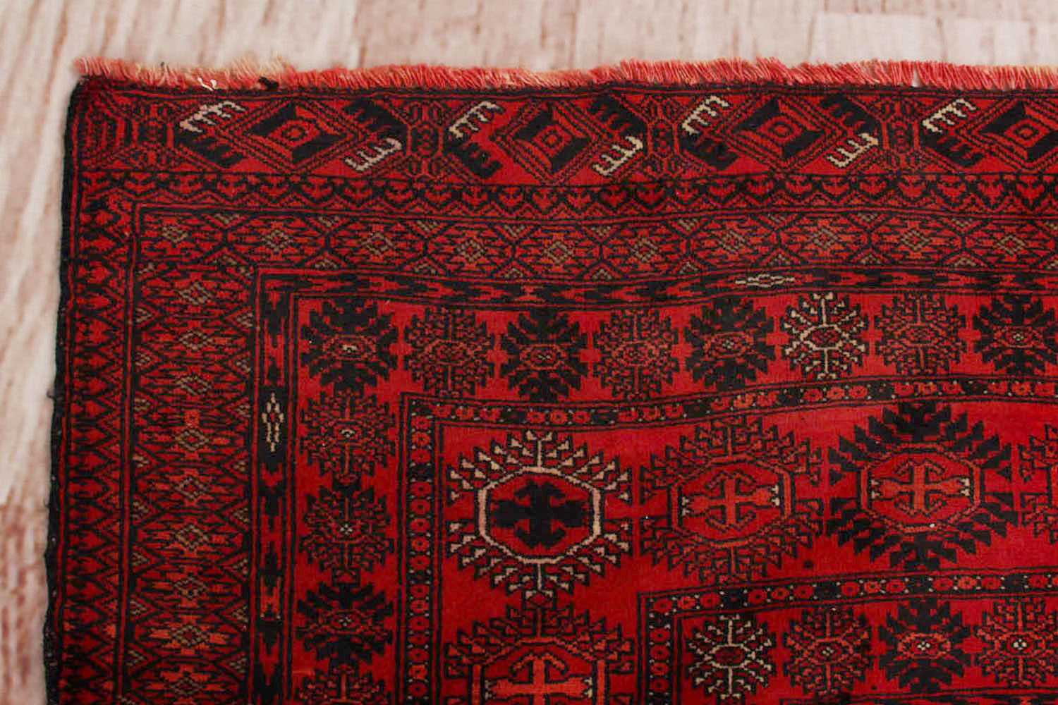 MORI BUKHARA