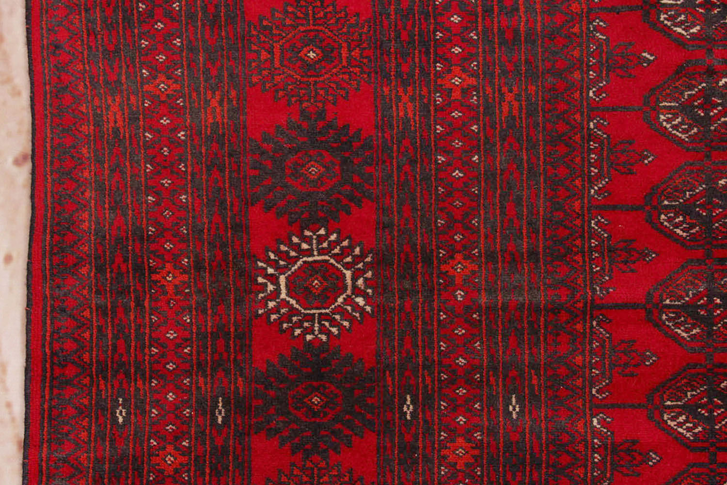 MORI BUKHARA