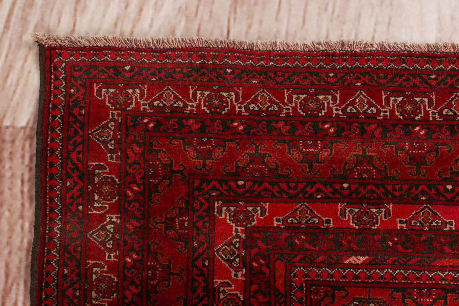 MORI BUKHARA
