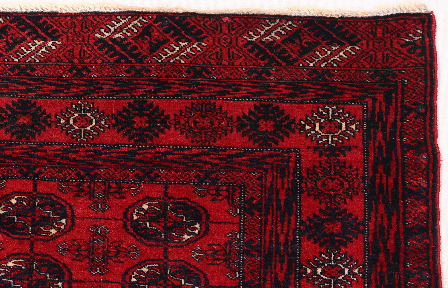 MORI BUKHARA