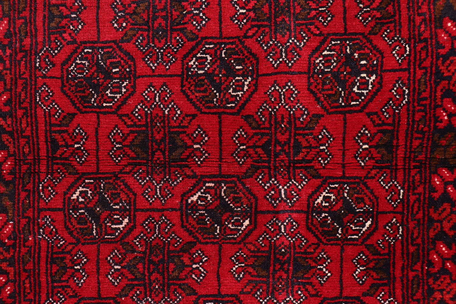 MORI BUKHARA