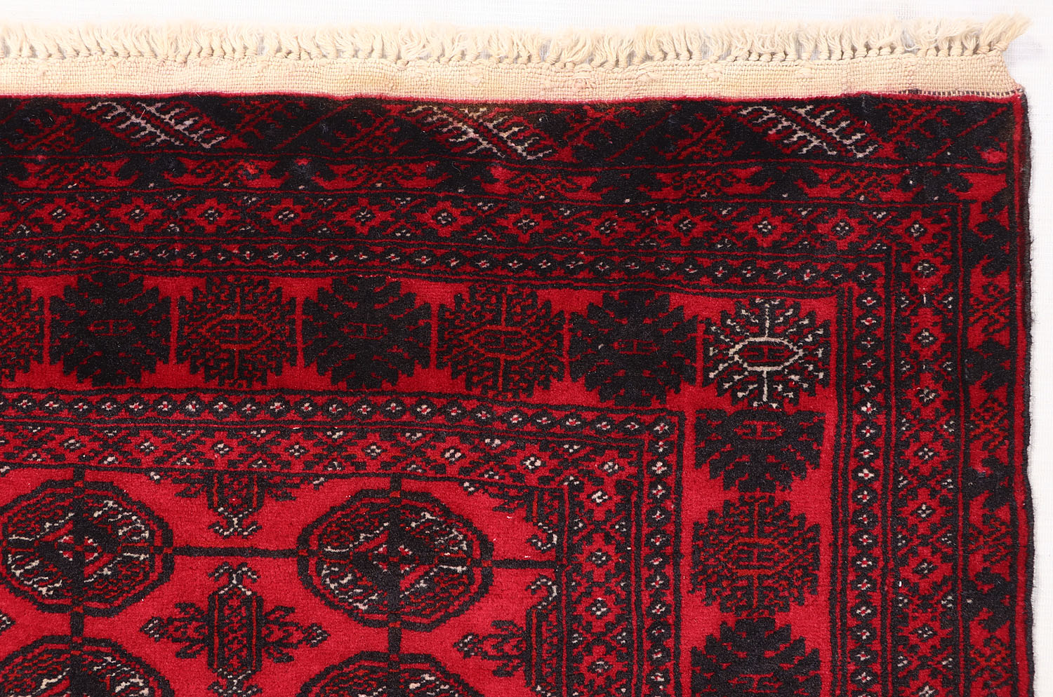 MORI BUKHARA