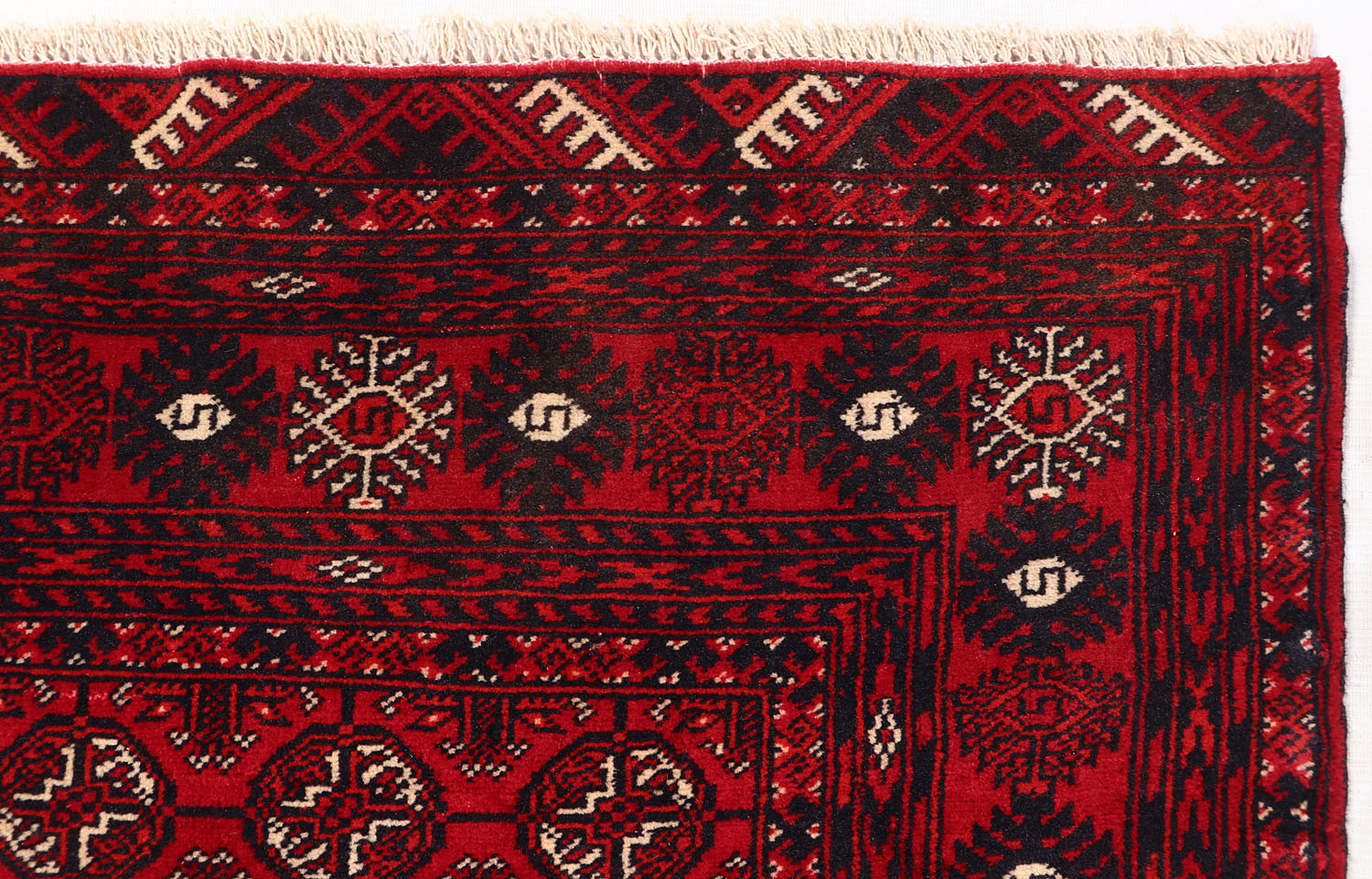 MORI BUKHARA