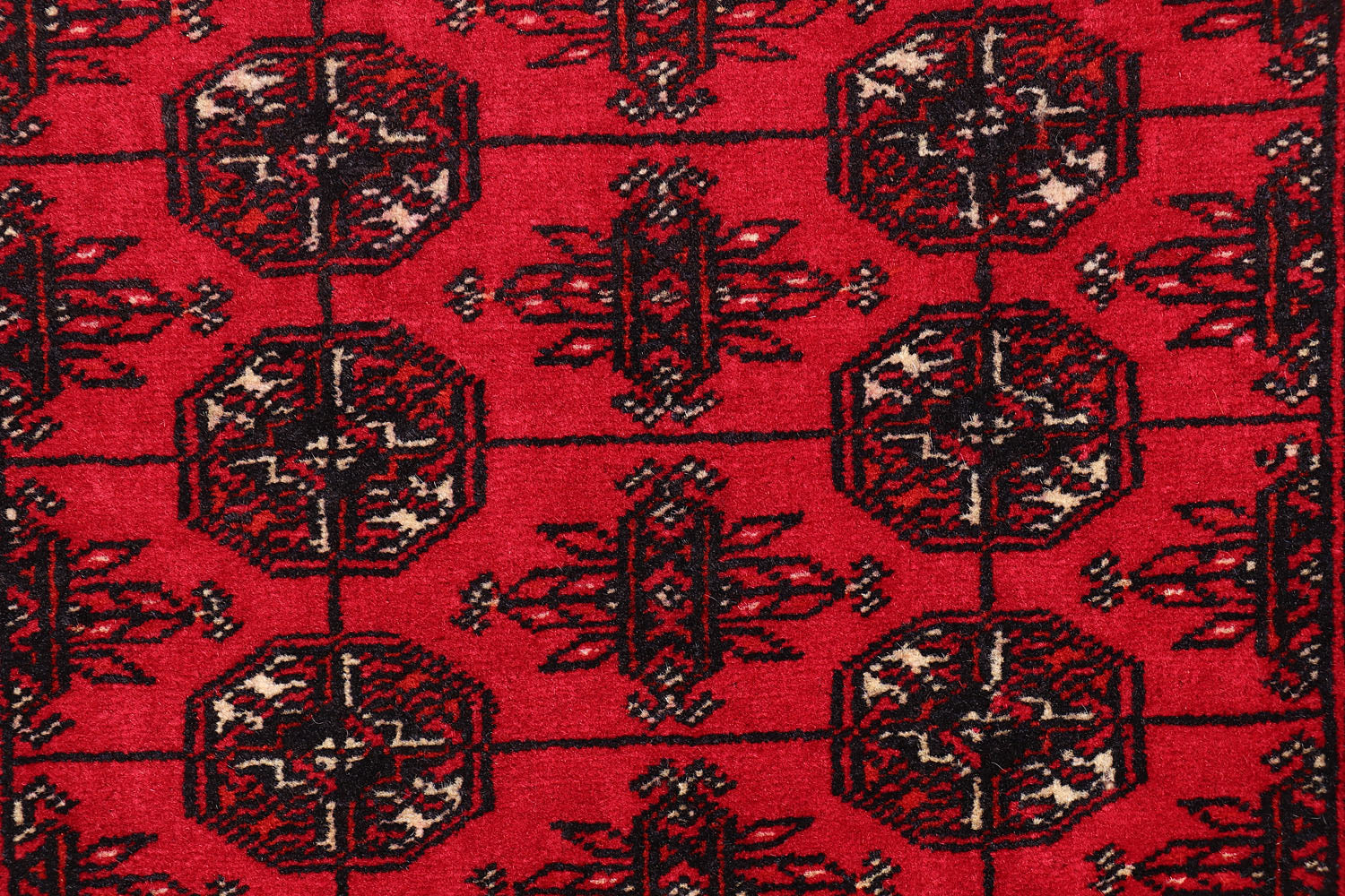 MORI BUKHARA