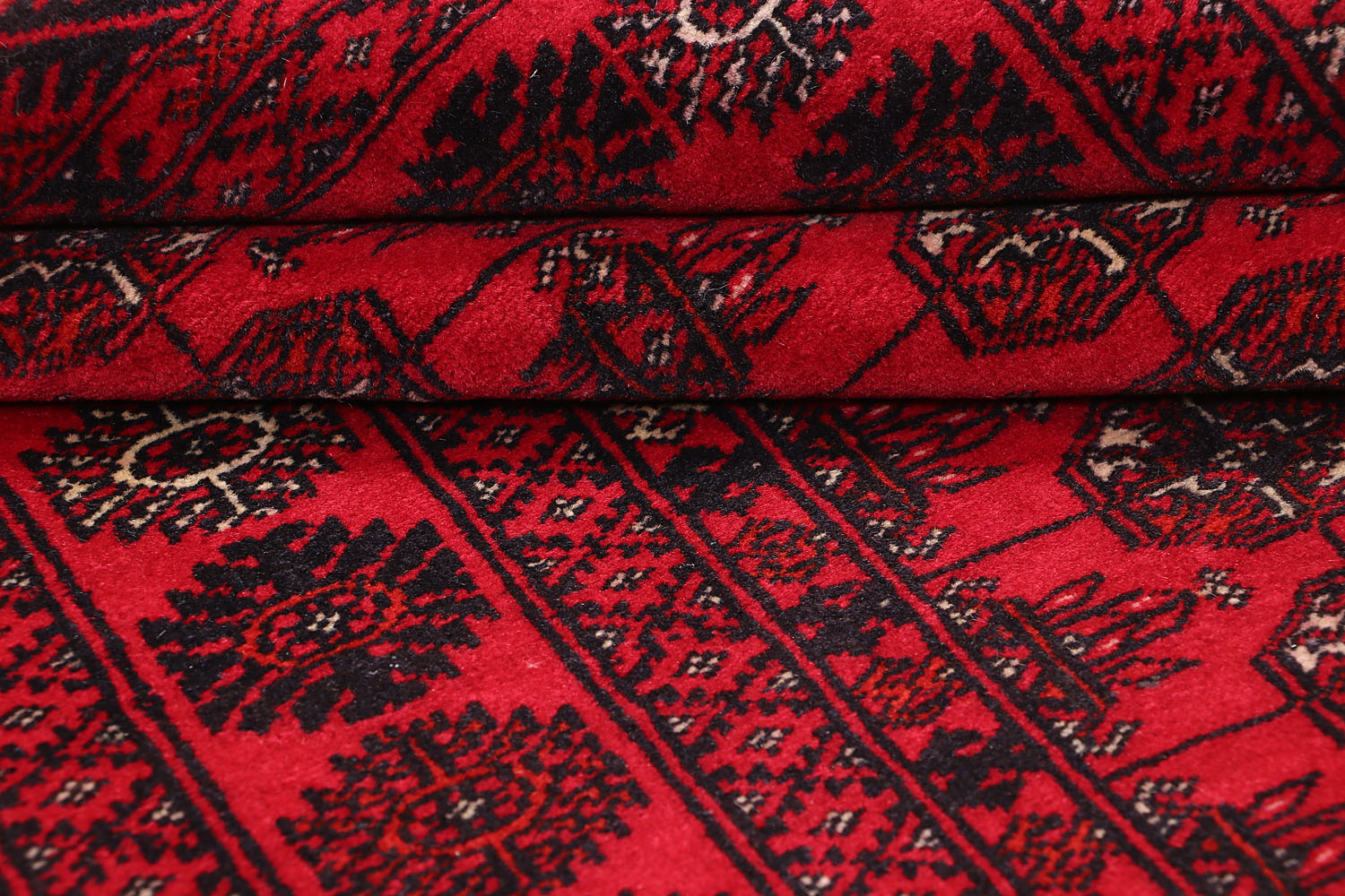 MORI BUKHARA