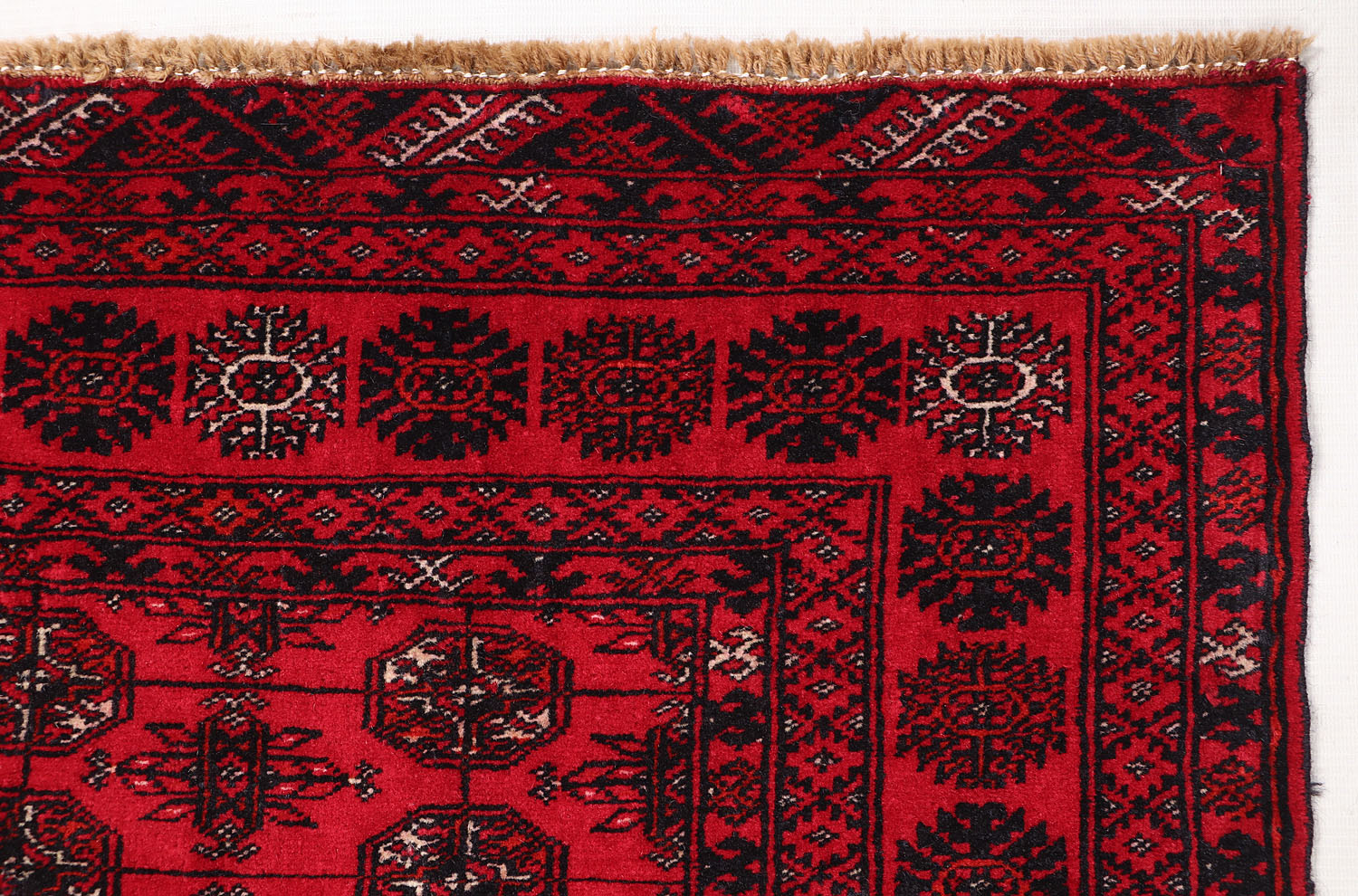 MORI BUKHARA