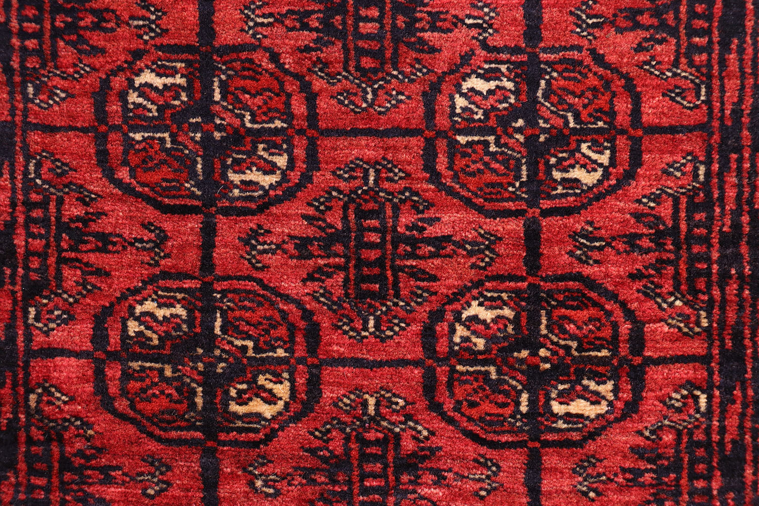 MORI BUKHARA