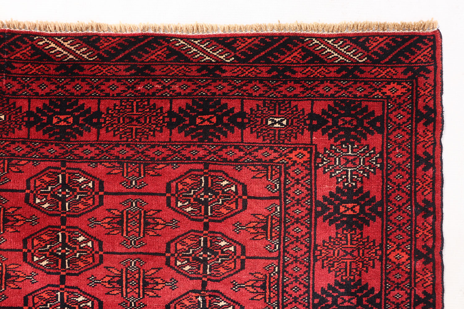 MORI BUKHARA