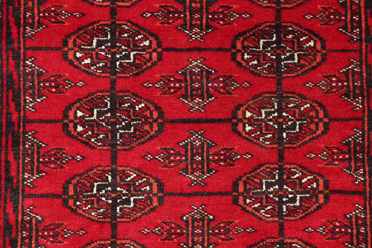 MORI BUKHARA