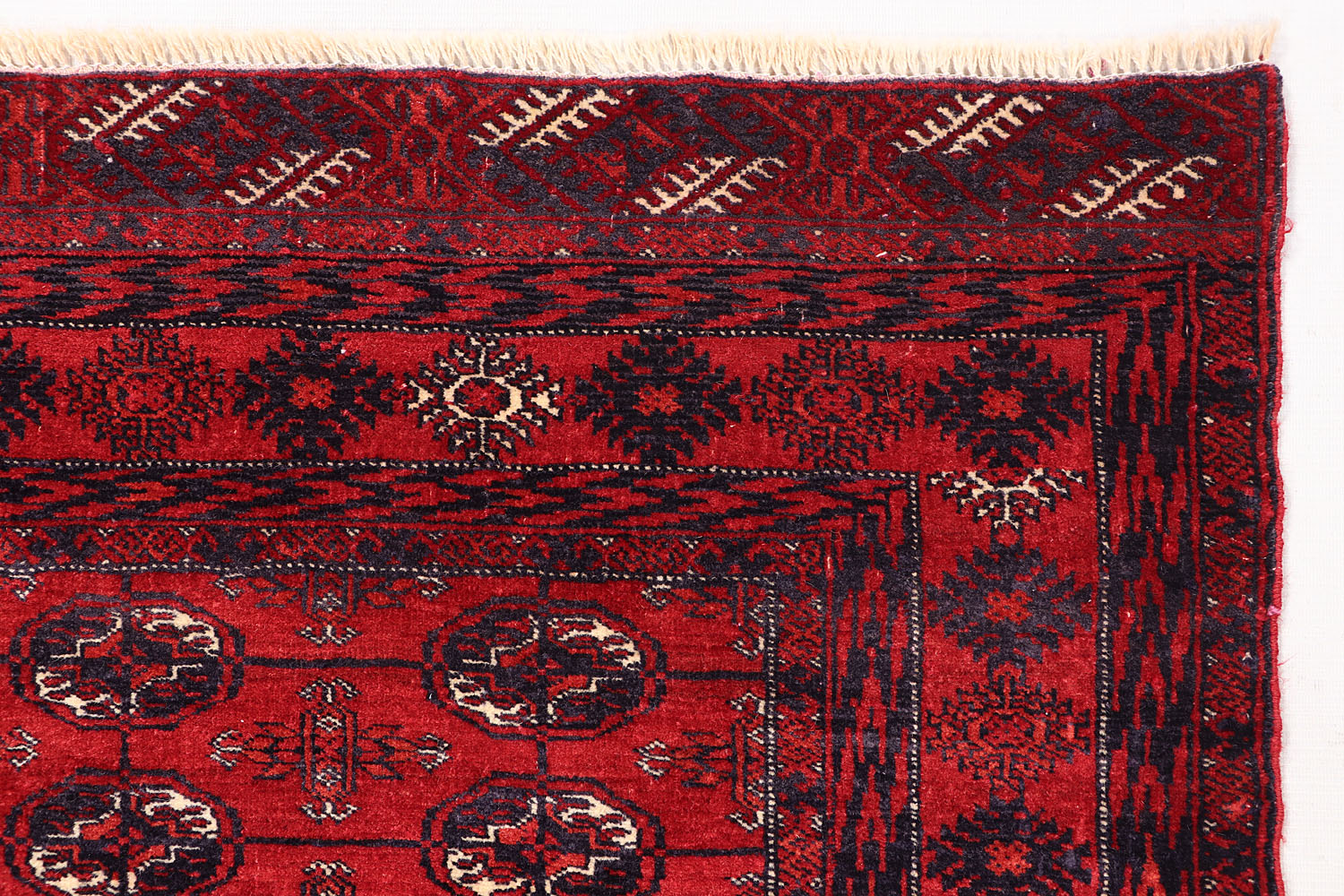 MORI BUKHARA