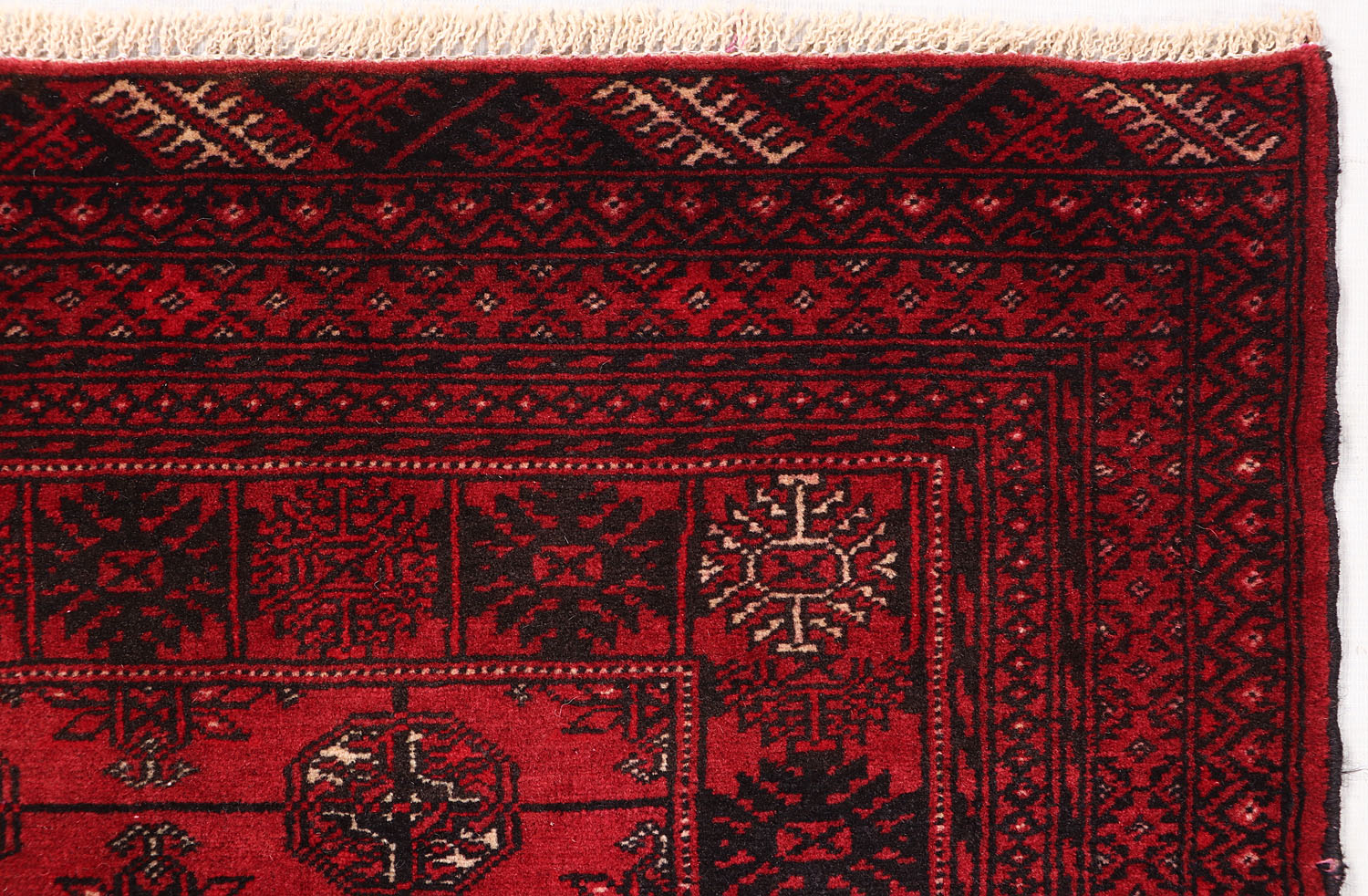 MORI BUKHARA