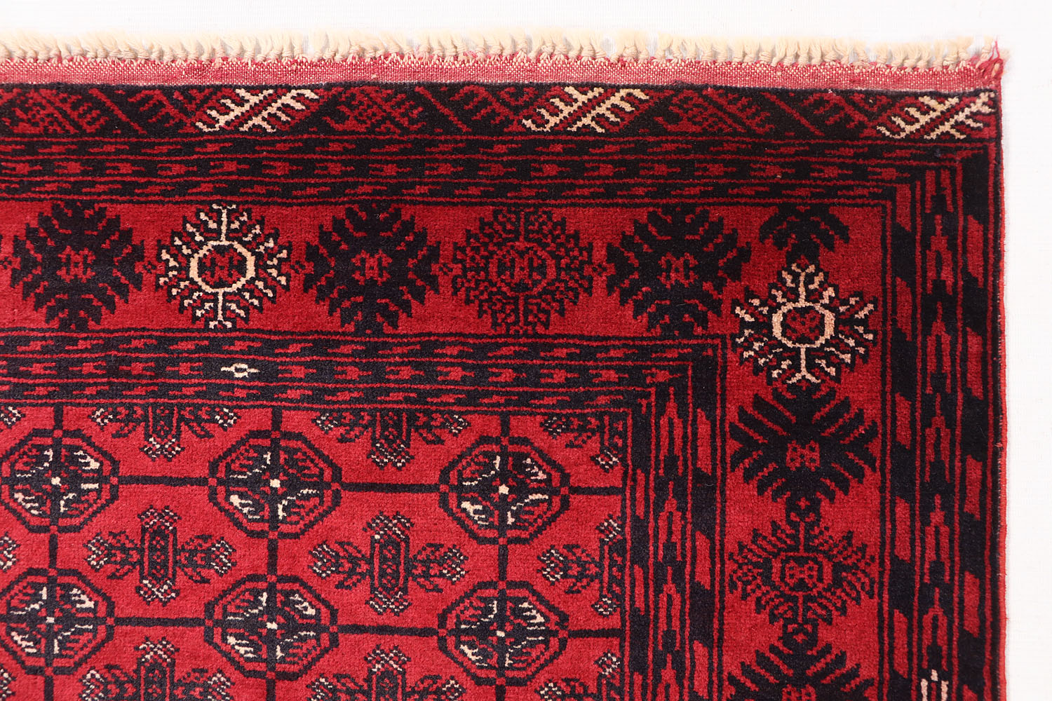 MORI BUKHARA