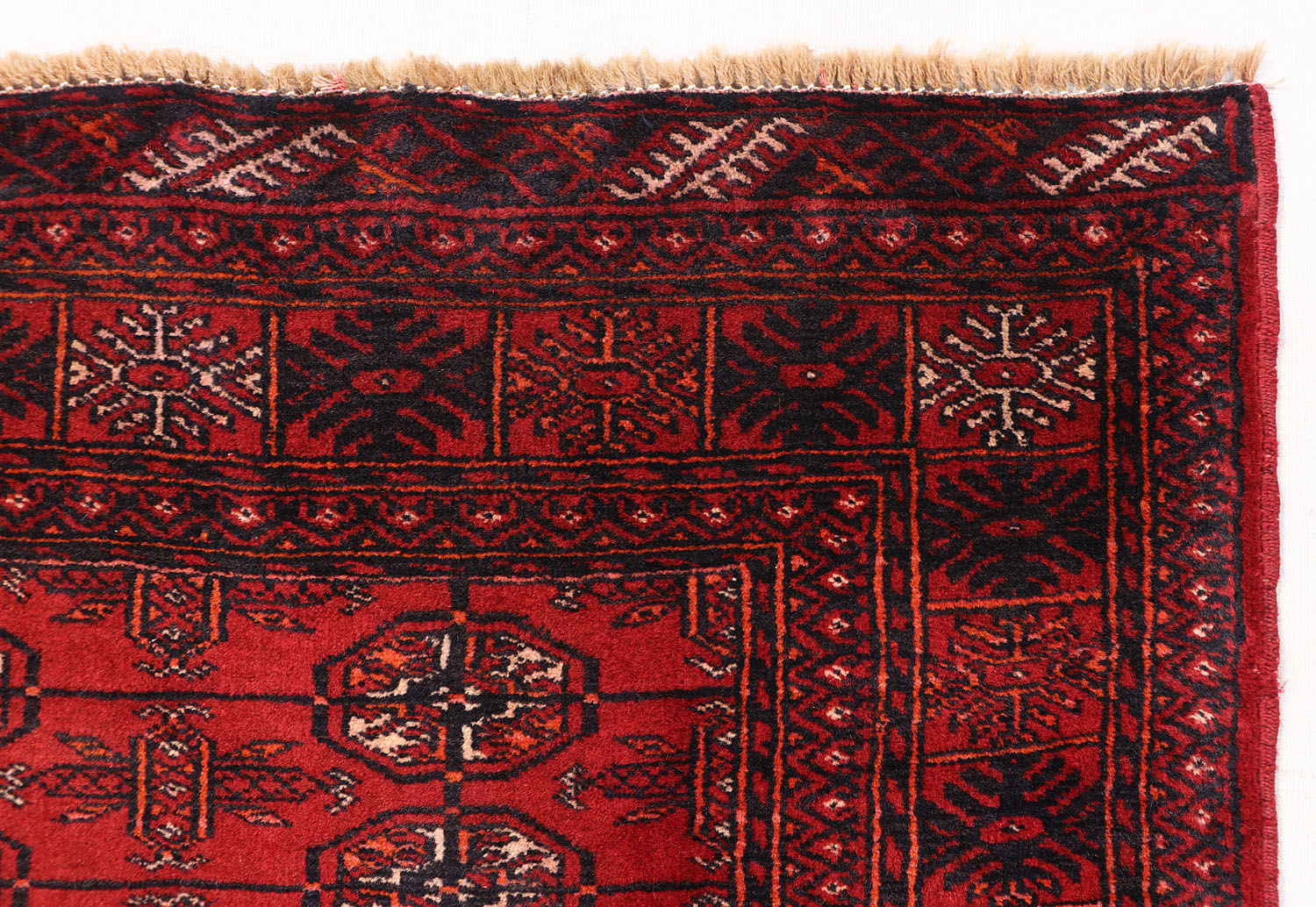 MORI BUKHARA