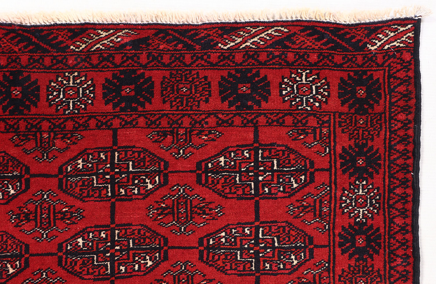 MORI BUKHARA