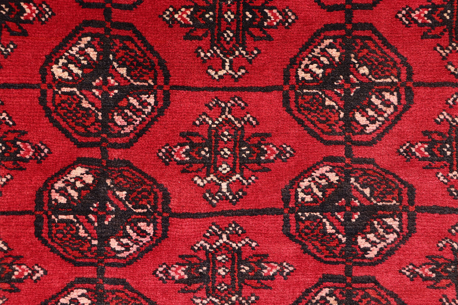 MORI BUKHARA