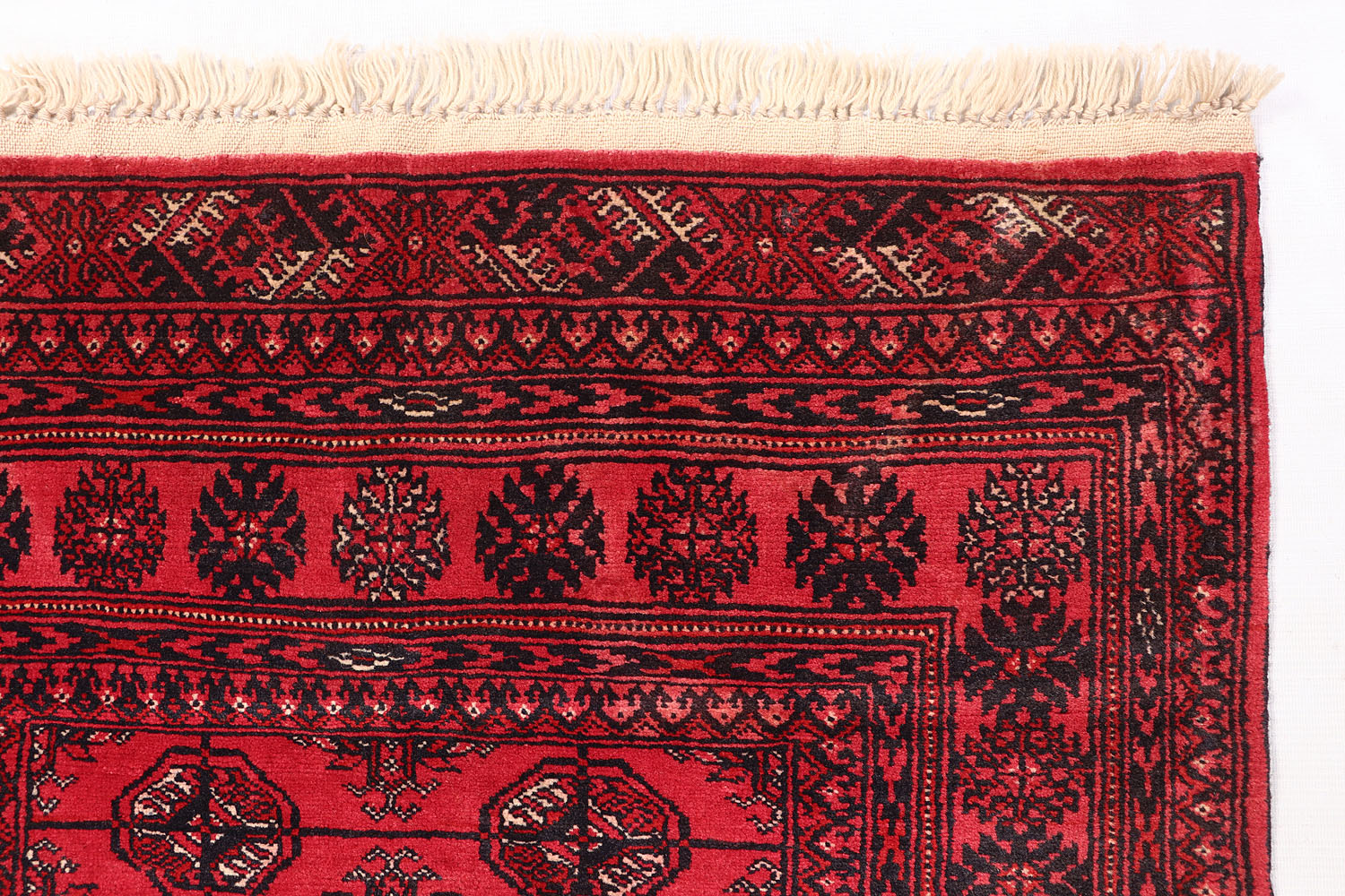 MORI BUKHARA