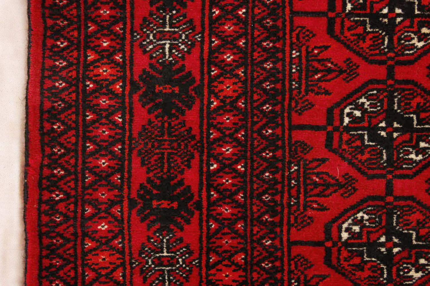 MORI BUKHARA