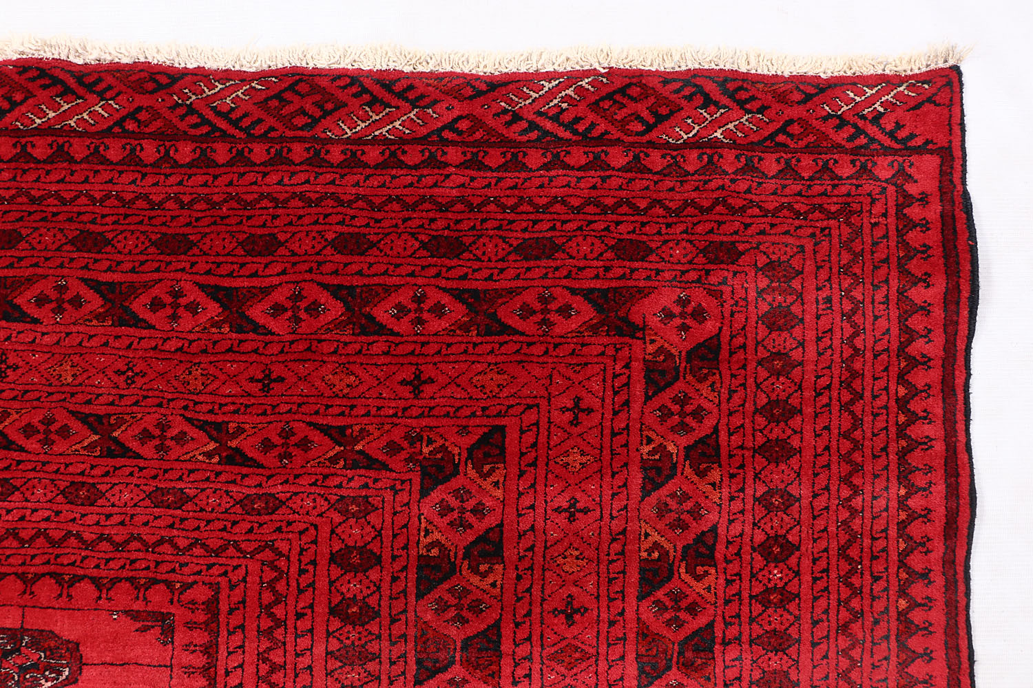 MORI BUKHARA