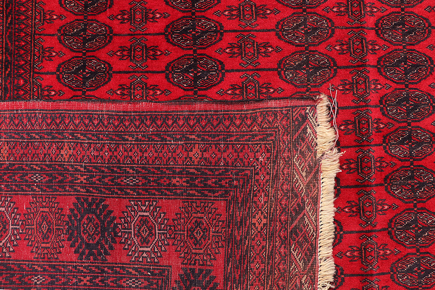 MORI BUKHARA