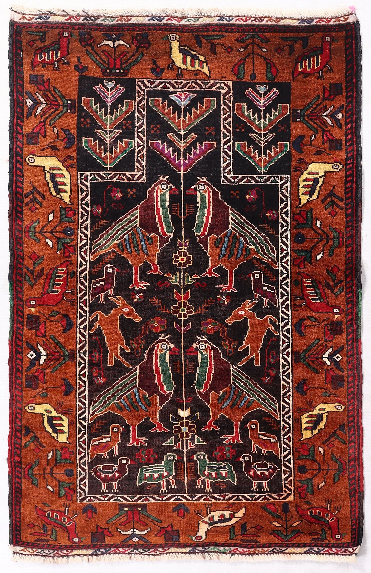 PICTORIAL RUGS