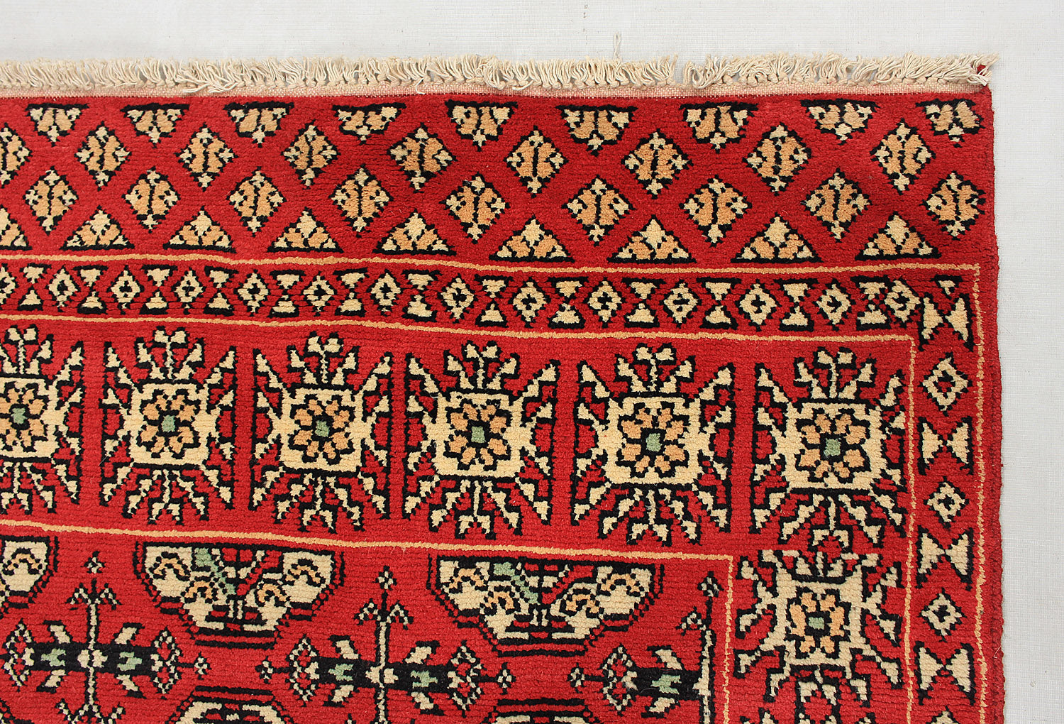 SHINDANDI BALUCHI