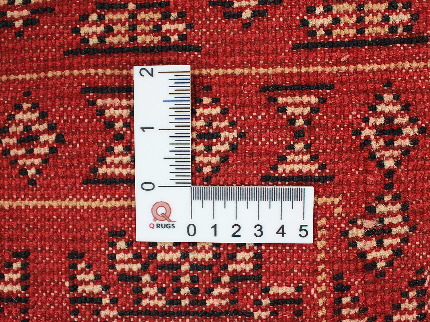 SHINDANDI BALUCHI