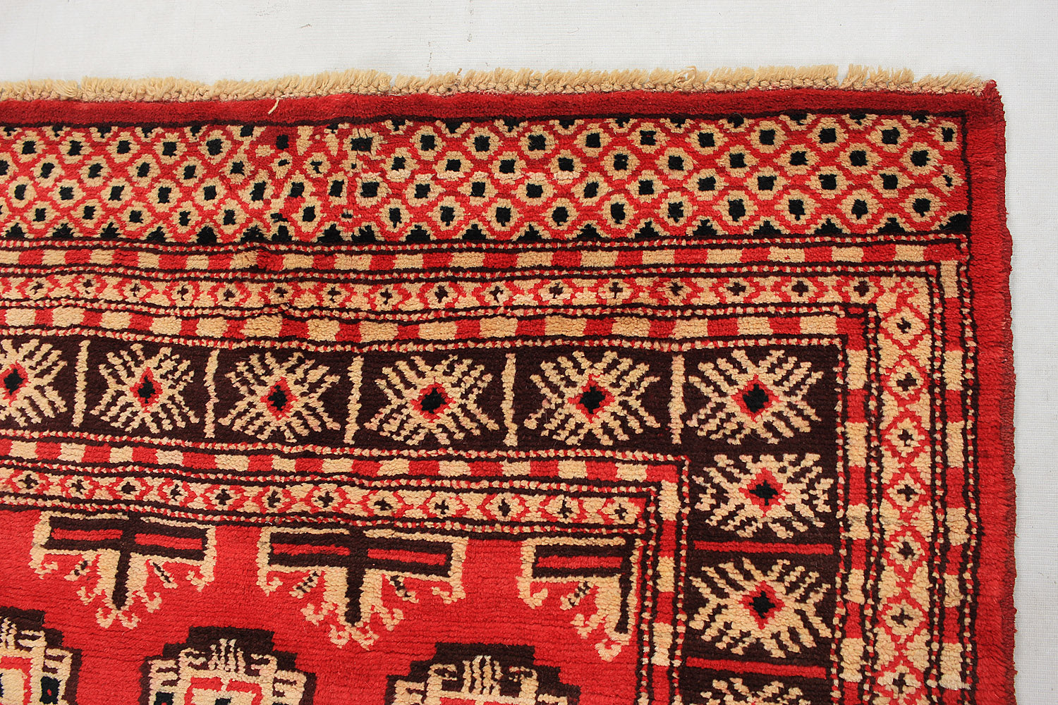SHINDANDI BALUCHI