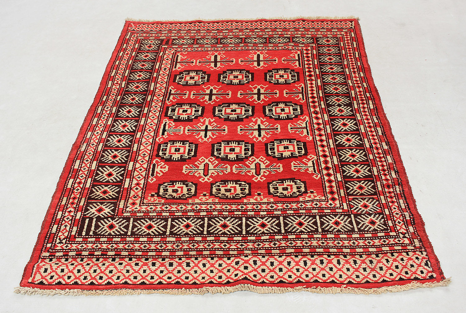 SHINDANDI BALUCHI
