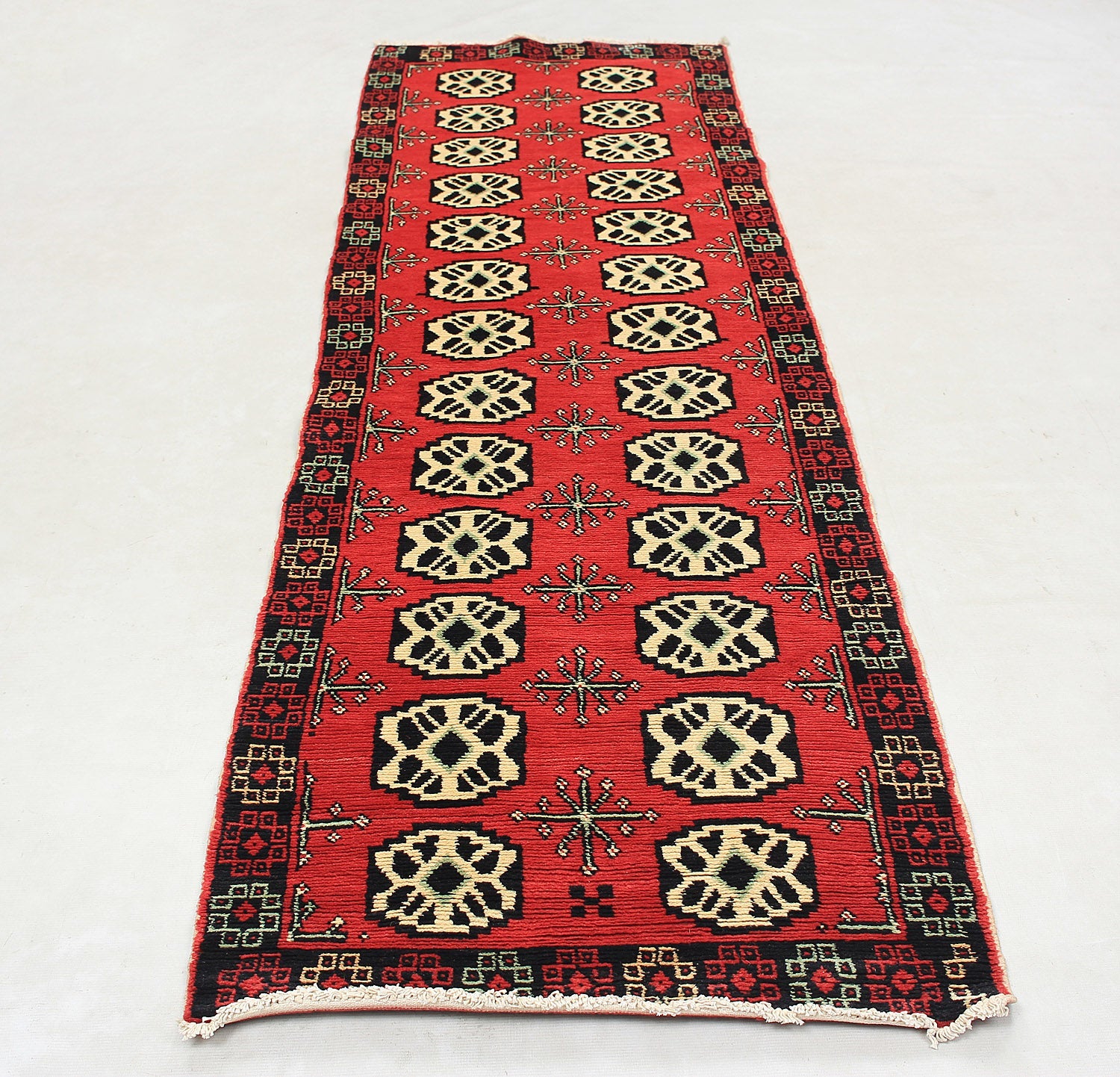 SHINDANDI BALUCHI