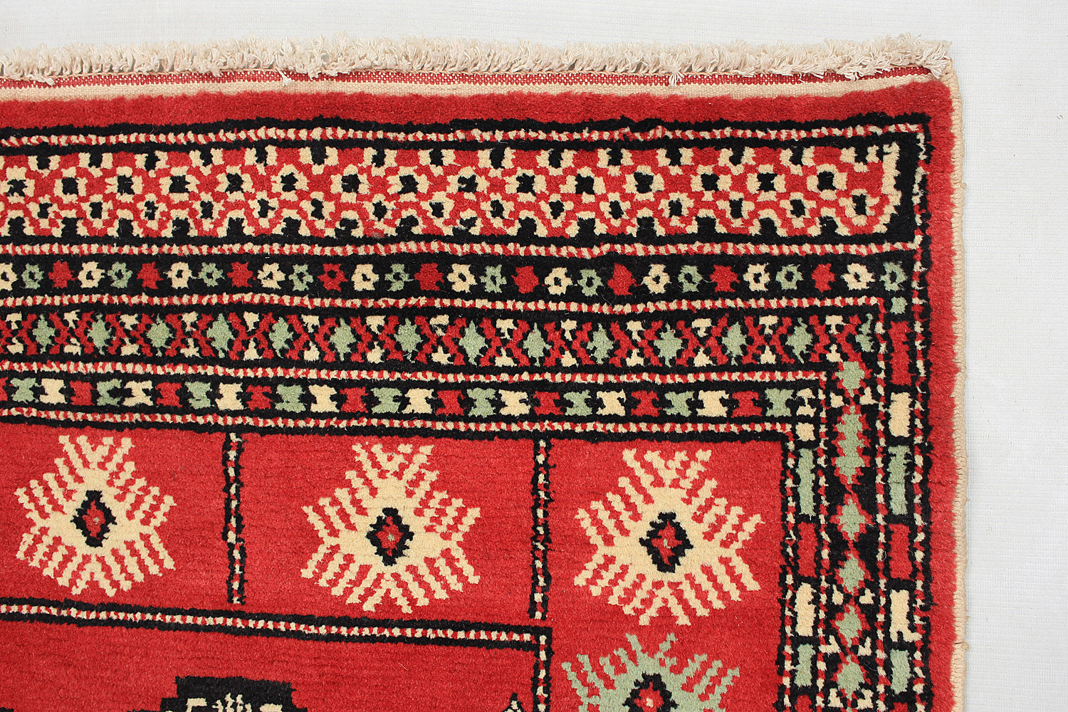 SHINDANDI BALUCHI