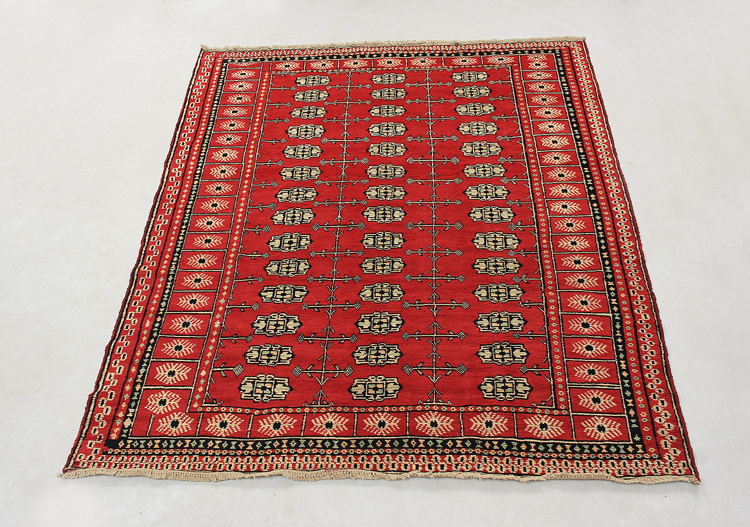 SHINDANDI BALUCHI