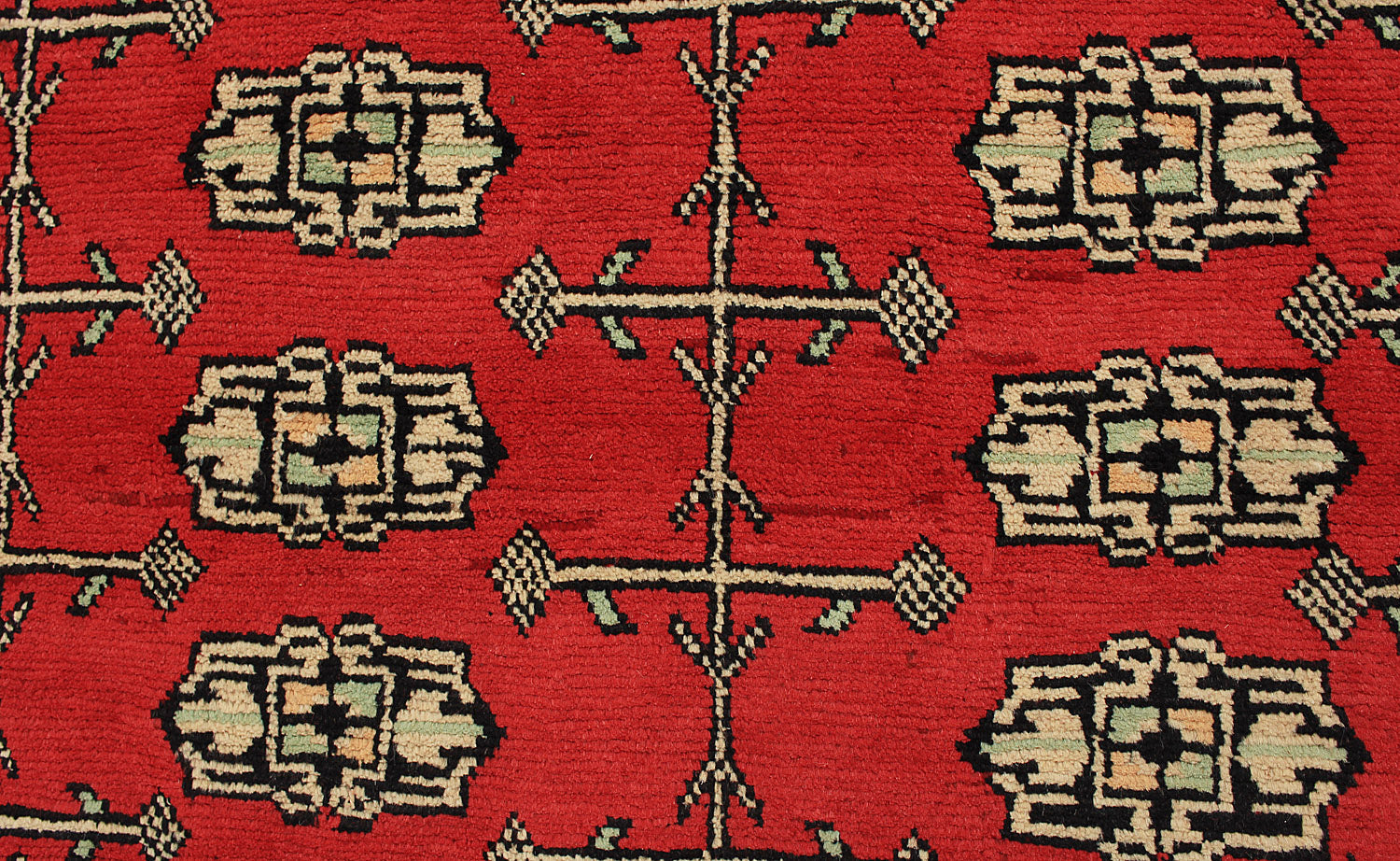 SHINDANDI BALUCHI