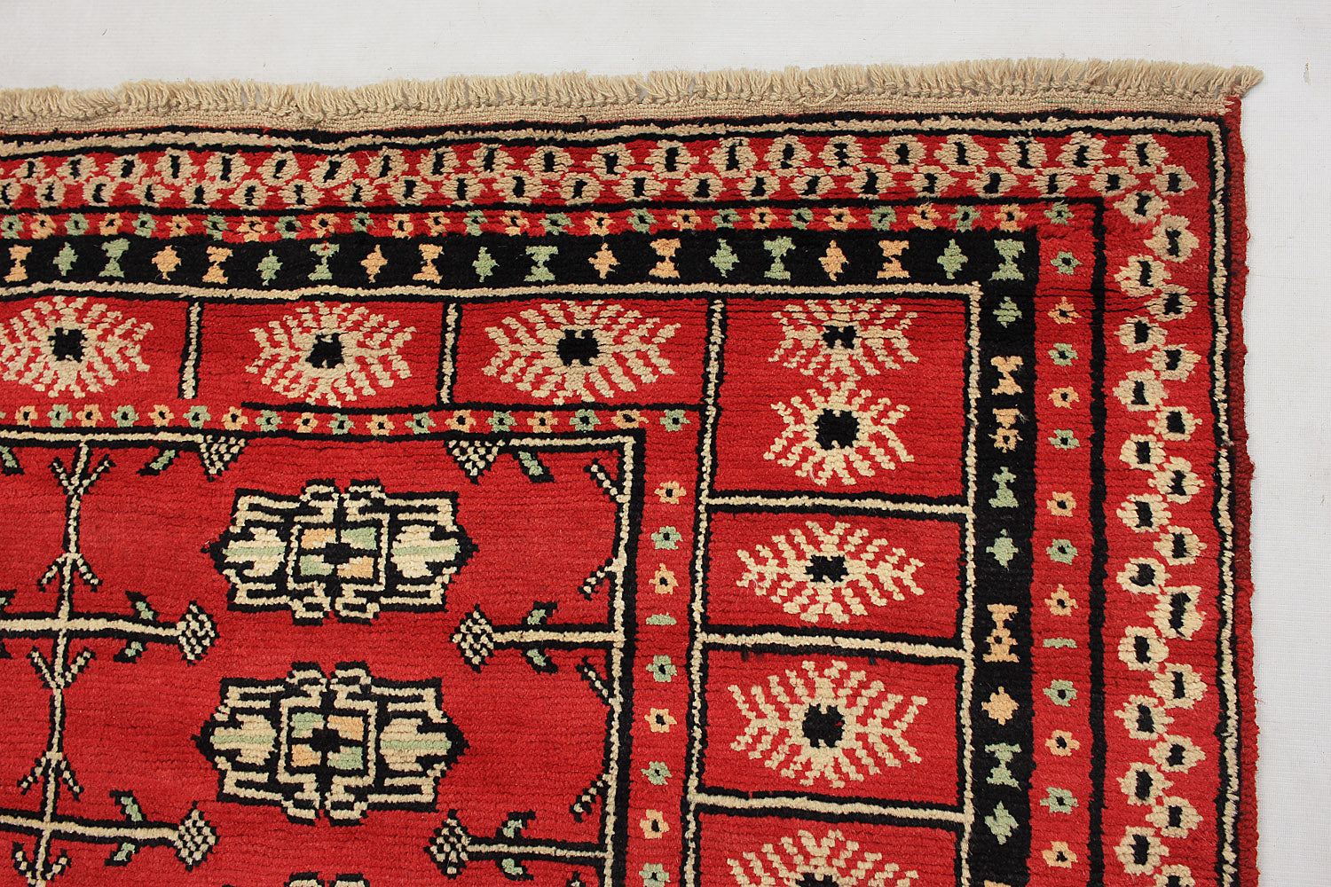 SHINDANDI BALUCHI