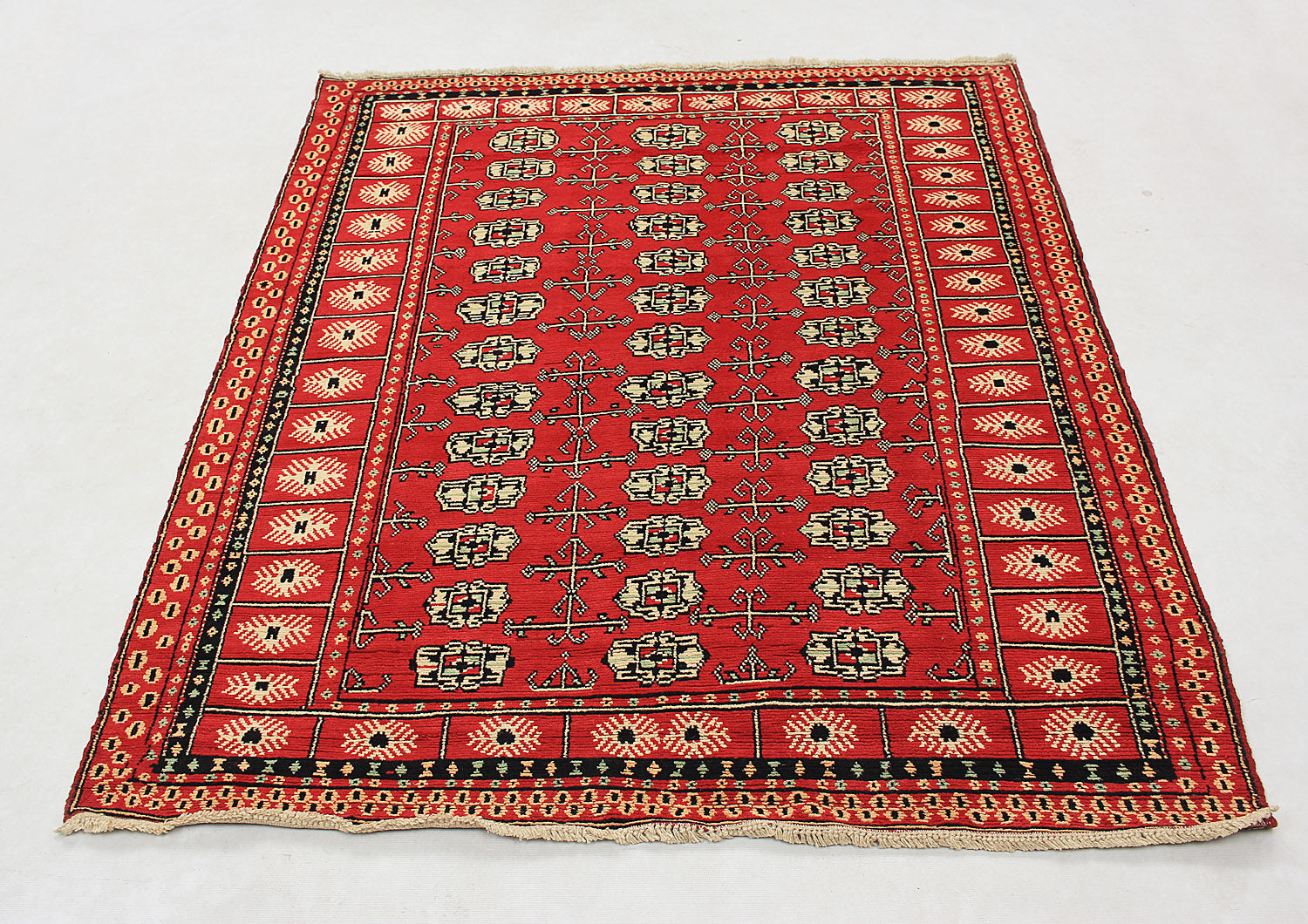 SHINDANDI BALUCHI