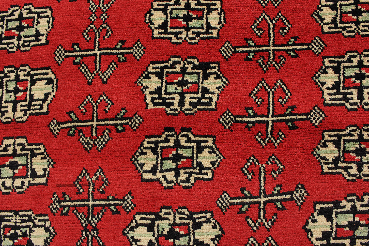 SHINDANDI BALUCHI