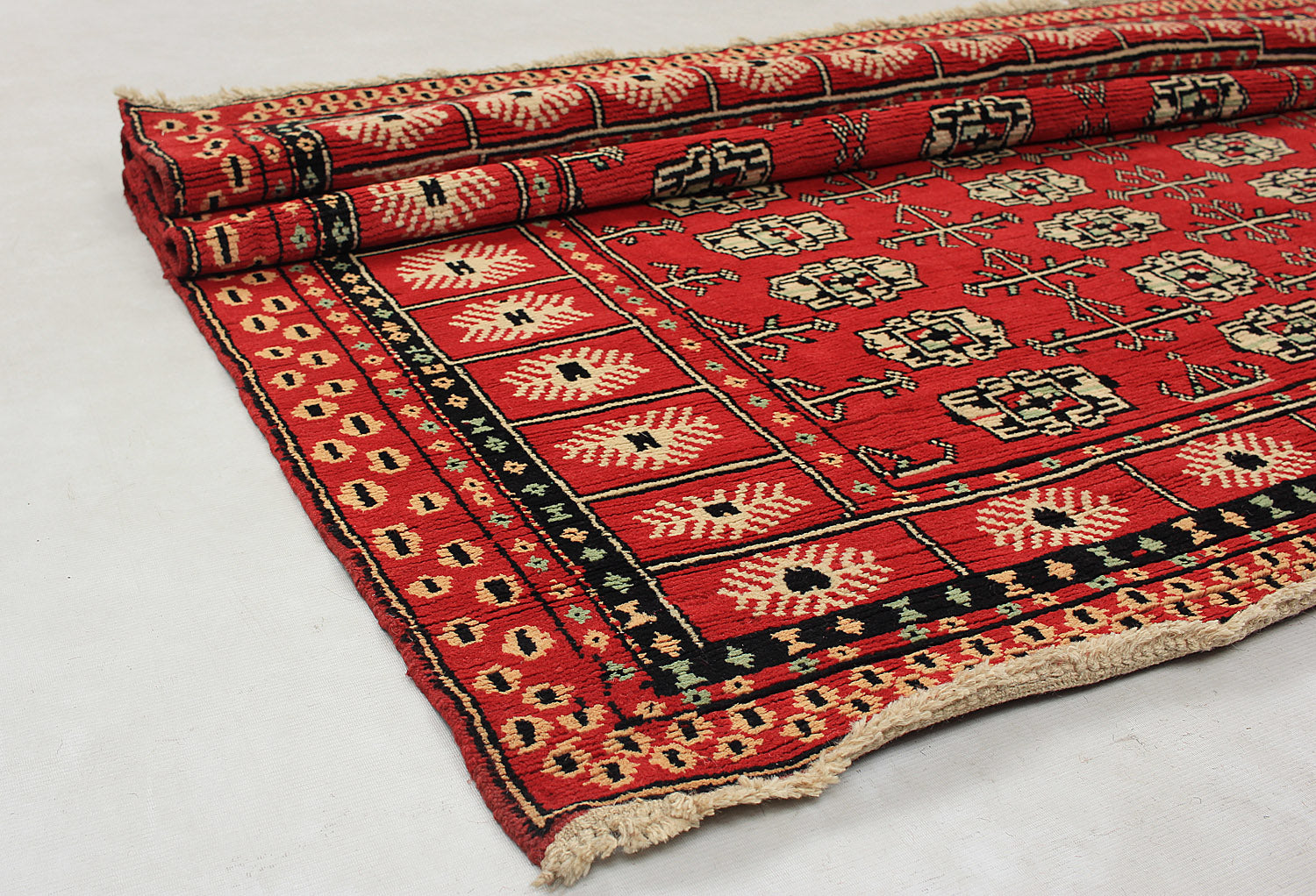 SHINDANDI BALUCHI