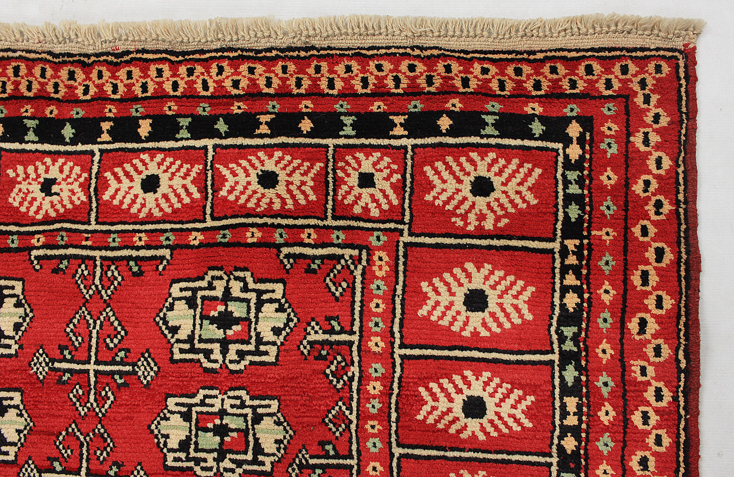 SHINDANDI BALUCHI